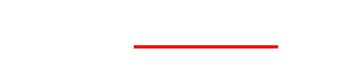 DeMichele Group